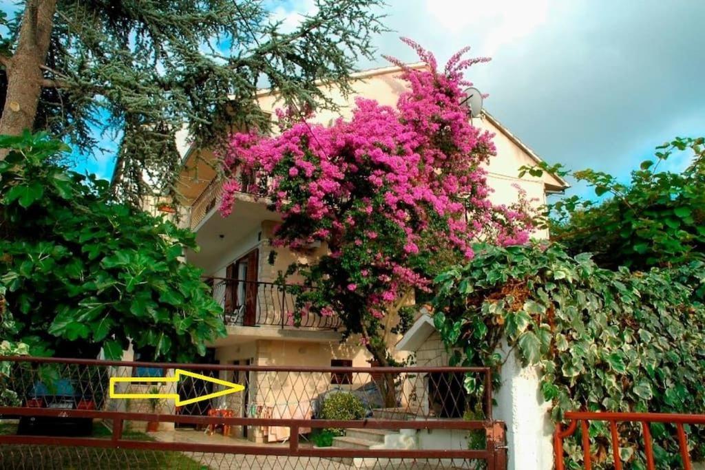 Apartment Ribica Slatine Esterno foto